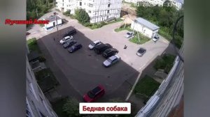 #152 ПОДБОРКА АВАРИЙ ДТП 07.09.25