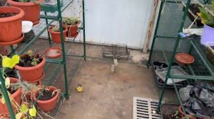 Гуляем, сад проверяем.