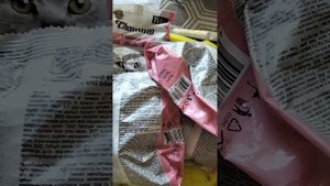 Купил в Дикси корм для кошек Чамми по супер цене, и колбасу