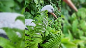 А у нас во дворе 2025 год