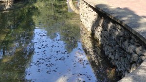 Сад камней в Кисловодске