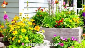 Цветы на участке и во дворе как красиво посадить фото идеи для вдохновения (55)