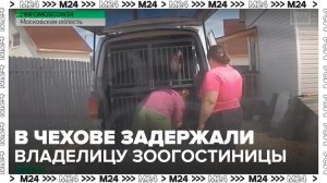 В подмосковном Чехове задержали владелицу частной зоогостиницы DogTown - Москва 24