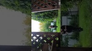 Я веселюсь у дедушки