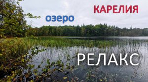 Карелия. Озеро в лесу