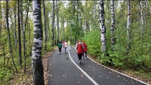 Всероссийский день ходьбы провели в Тюмени