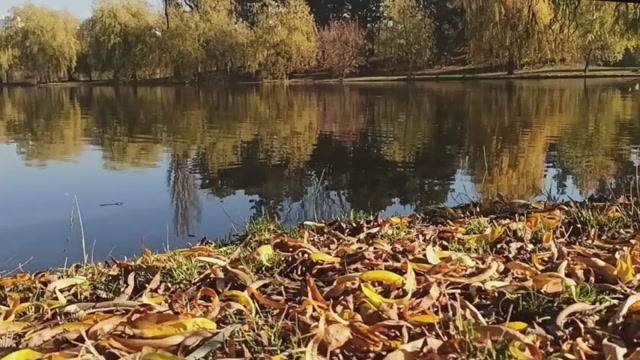 Б.Л. Пастернак — Золотая осень