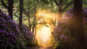 В мире где живёт магия