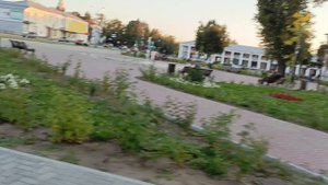 Пакатушки по Гусь-Хрустальному