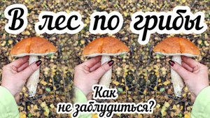 В лес по грибы на велосипеде 🍄 Как не заблудиться в густом лесу?🌲