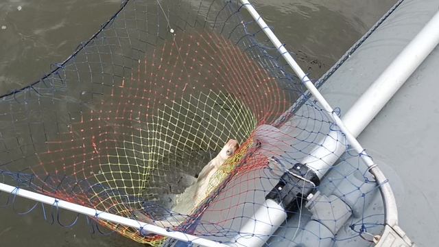 1000217447.mp4 смотреть онлайн