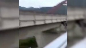 О том как пролетело Лето...