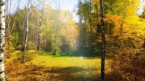 Осенняя прогулка - музыка для релакса и вдохновения