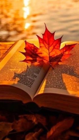 Открытки с добрым утром отправить бесплатно