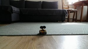 Вали и сколский пол