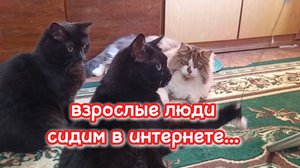 Взрослые люди, сидим в интернете...