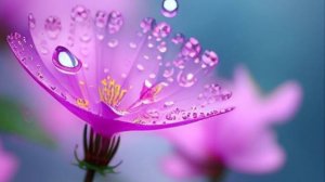 Открытки с добрым утром отправить бесплатно