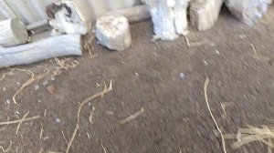 7 сентября, блоки закончились