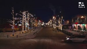 Световое оформление уличных деревьев. Для благоустройства городов, парков, скверов, улиц. Монтаж.