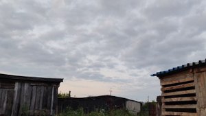 Пришли кормить собаку в деревне, деревенский закат