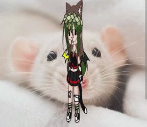 Смотрите что смонтировала Александра котик