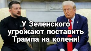 ТАМИР ШЕЙХ / СЕРГЕЙ ЕГОРИН. ПОСТАВИТЬ ТРАМПА НА КОЛЕНИ. Сводки Новости