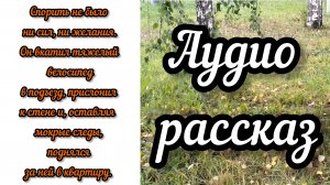 Рассказ | Курьер Паша | Истории из жизни | Аудио рассказы