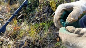 Юбилейный рубль сто лет со дня рождения В.И. Ленина и много другое.🔥