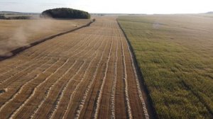 Красноуфимский район д. Подгорная. Поля 2021