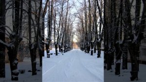 Круговорот