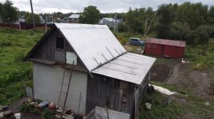 Какая живность есть на даче