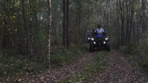 Катушка_2025_Шерна_Дубенка