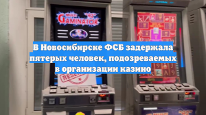В Новосибирске ФСБ задержала пятерых человек, подозреваемых в организации казино