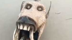 Видео от За Трофеем: Охота и Рыбалка