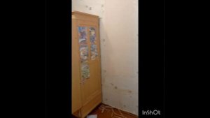 3ка, Пр Победы. Комнаты смежно-изолированные. Част мебель, нет стиралки. Можно дети,жив.+79787003279