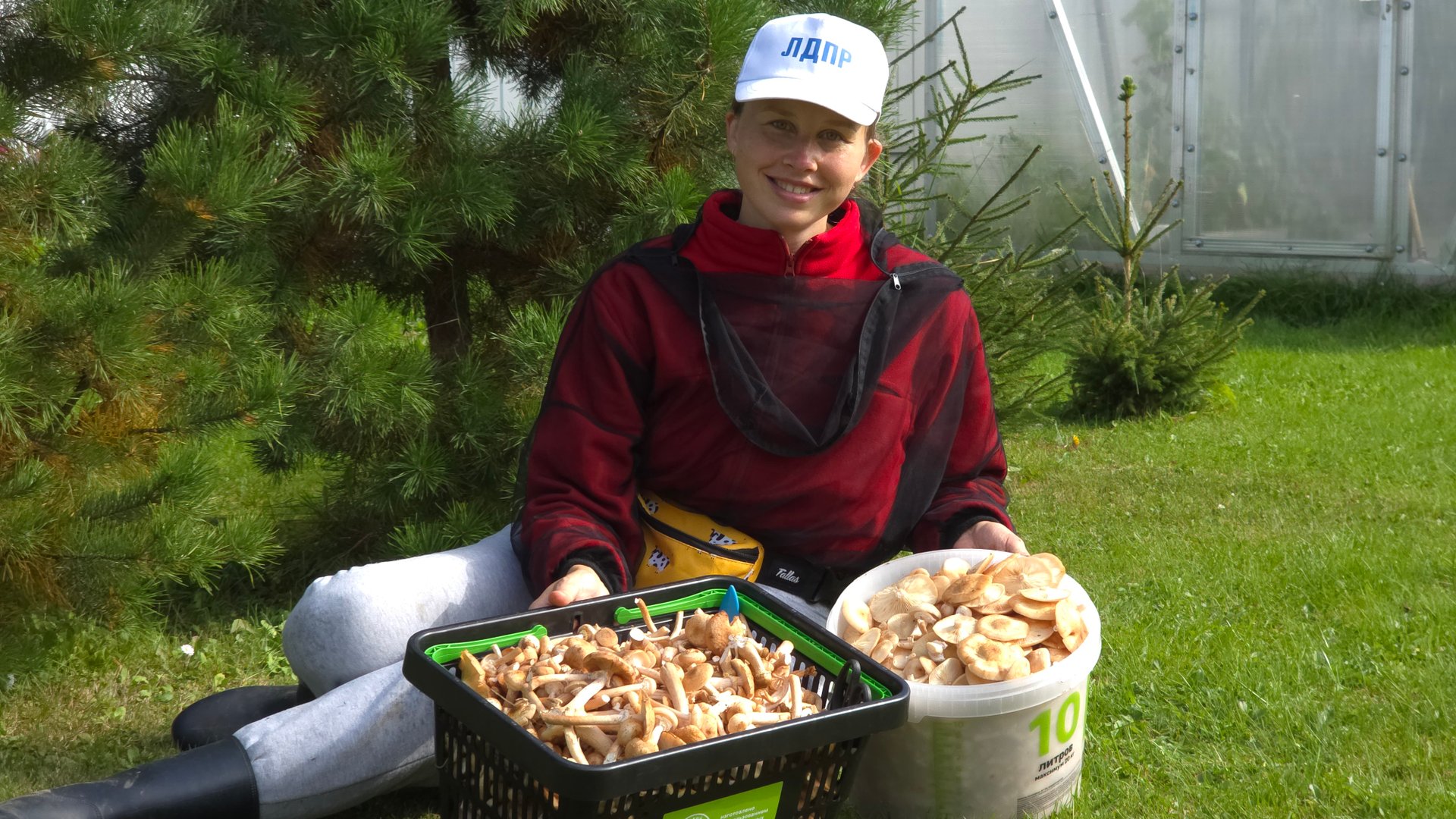 опята в Подмосковье смотреть онлайн