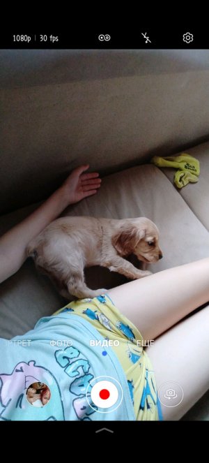 жизнь