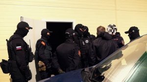 Добровольная народная дружина