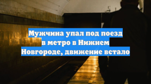 Мужчина упал под поезд в метро в Нижнем Новгороде, движение встало