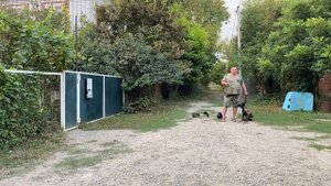 Бельгийская овчарка 3,5 месяцев Бэлла! Будни дрессировки!