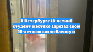 В Петербурге 18-летний студент жестоко зарезал свою 15-летнюю возлюбленную