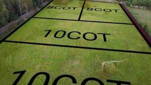 Клейменово