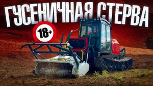 Мужики прозвали её «Гусеничная Стерва». И вот почему