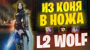 Ножи снова могут? Реролл в Lineage 2 Project Wolf в ПВ
