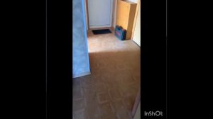 2ка, улица Фадеева. Комнаты раздельные. Можно с детьми и животными. Воен. договор. +79787003279