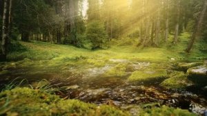 Идти. Не знать дороги...