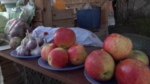 Программа "Главные новости" на 8 канале от 08.09.2025 Часть 2