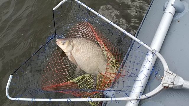 1000217457.mp4 смотреть онлайн