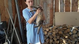 Складываем дрова. Скоро будет порядок на участке.