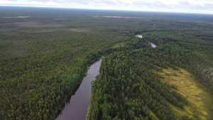 Северная рыбалка: в погоне за хариусом 🎣